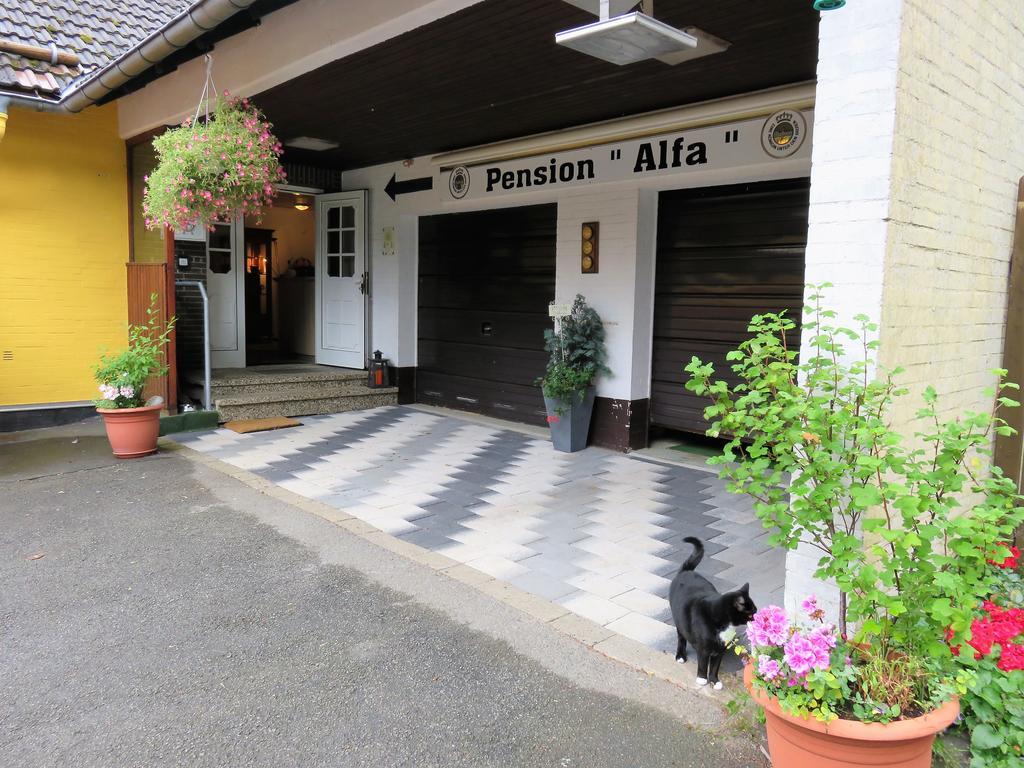 Pension Alfa ザンクト・アンドレーアスベルク エクステリア 写真